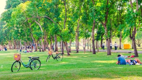 The lawn of a park populated with leafy trees, two bicycles, and people lounging around together