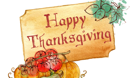 Image courtesy of Oberholster Venita on Pixaby.