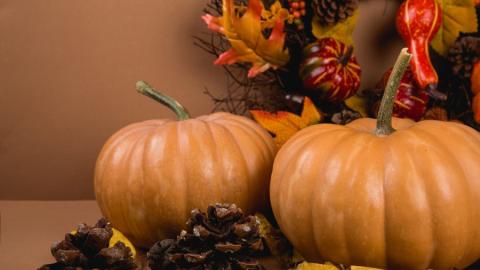 photo courtesy of pexels - https://www.pexels.com/photo/agriculture-autumn-background-decoration-619422/
