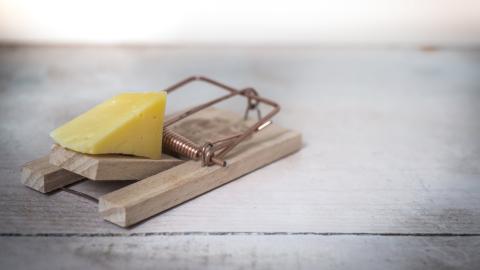 https://www.pexels.com/photo/brown-wooden-mouse-trap-with-cheese-bait-on-top-633881/