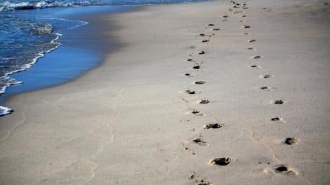 Footprints in the sand